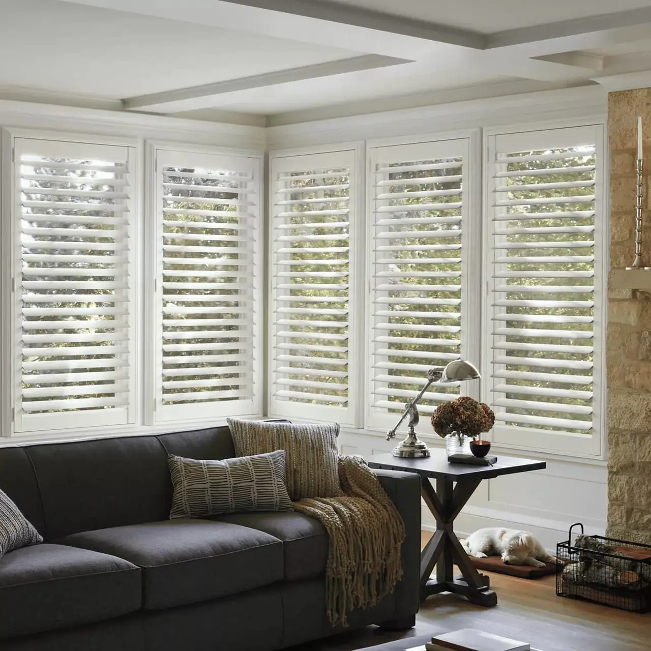 Screen roller blinds Bay Square office