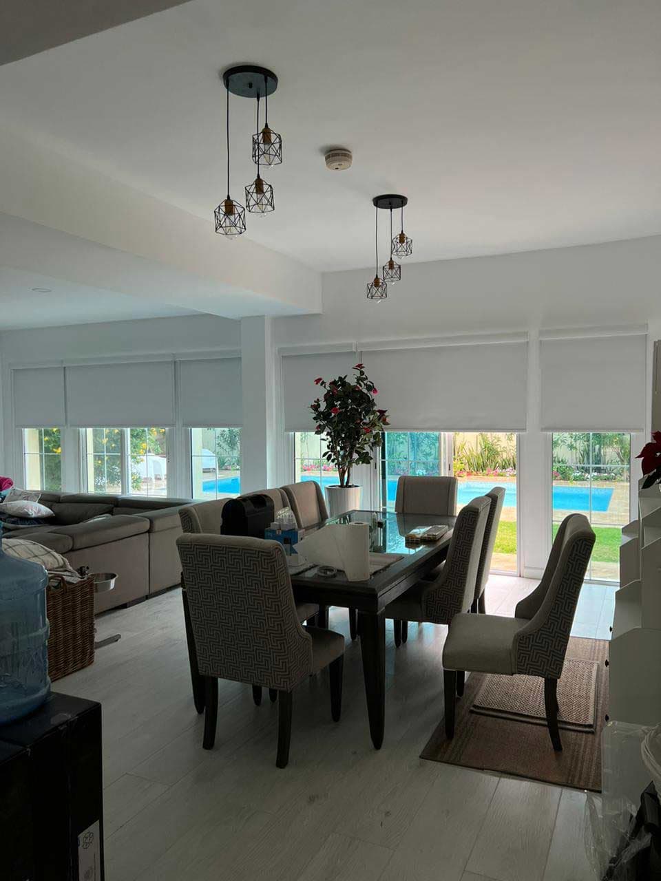 Sunscreen/Transparent Blinds