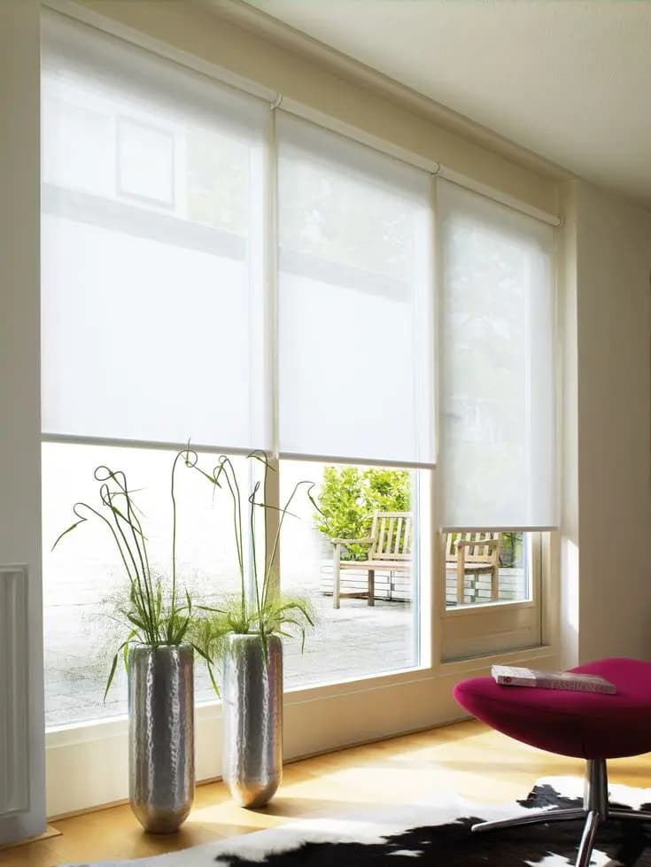 Blinds and Curtains