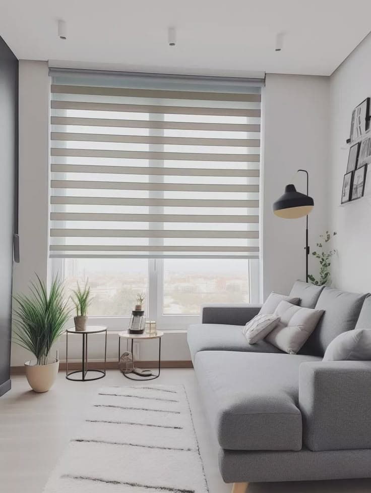 Custom Zebra Blinds