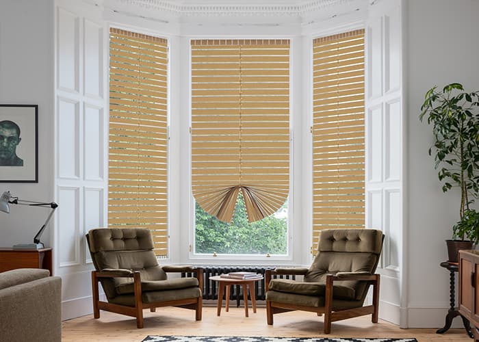 Modern Patricia Blinds