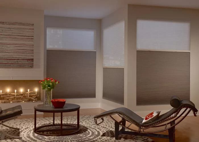 Pleated Window Shades