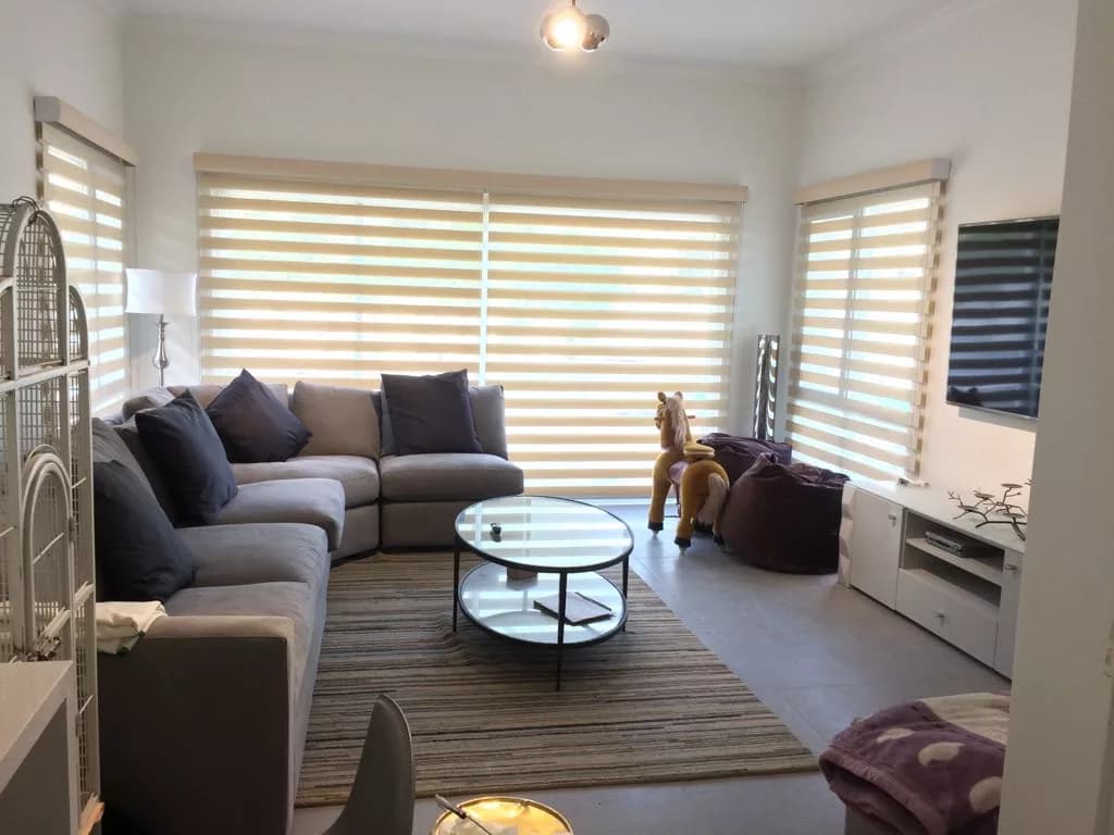 Zebra Shade Blinds