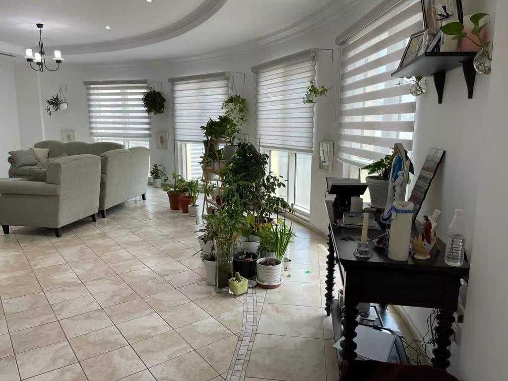 Motorized Zebra Blinds