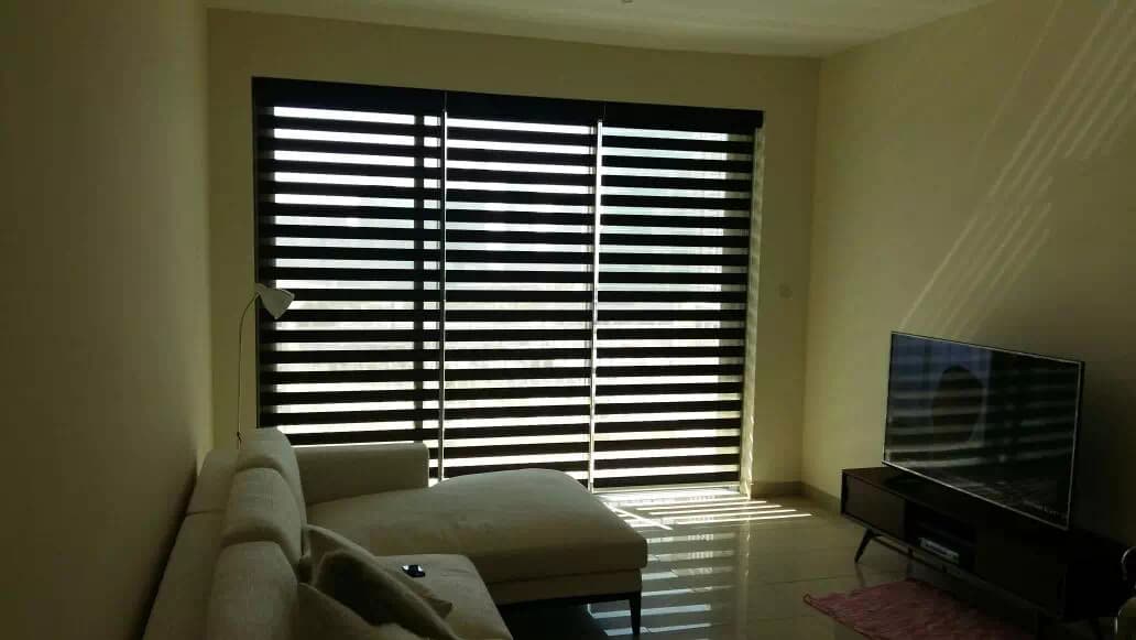 blackout zebra blinds