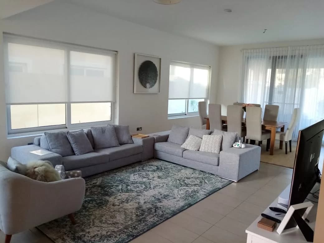 Translucent Blinds for Windows