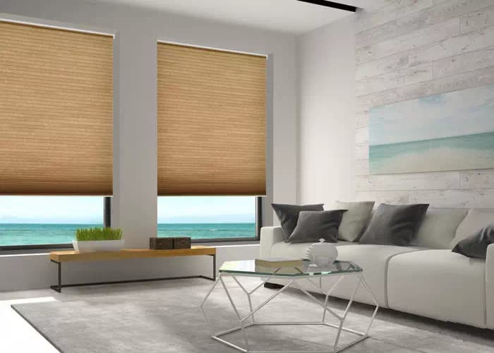 Blackout Pleated Blinds