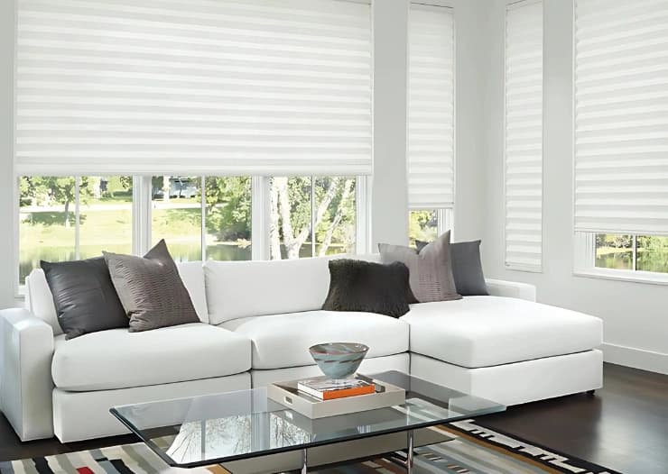 Pleated Blinds