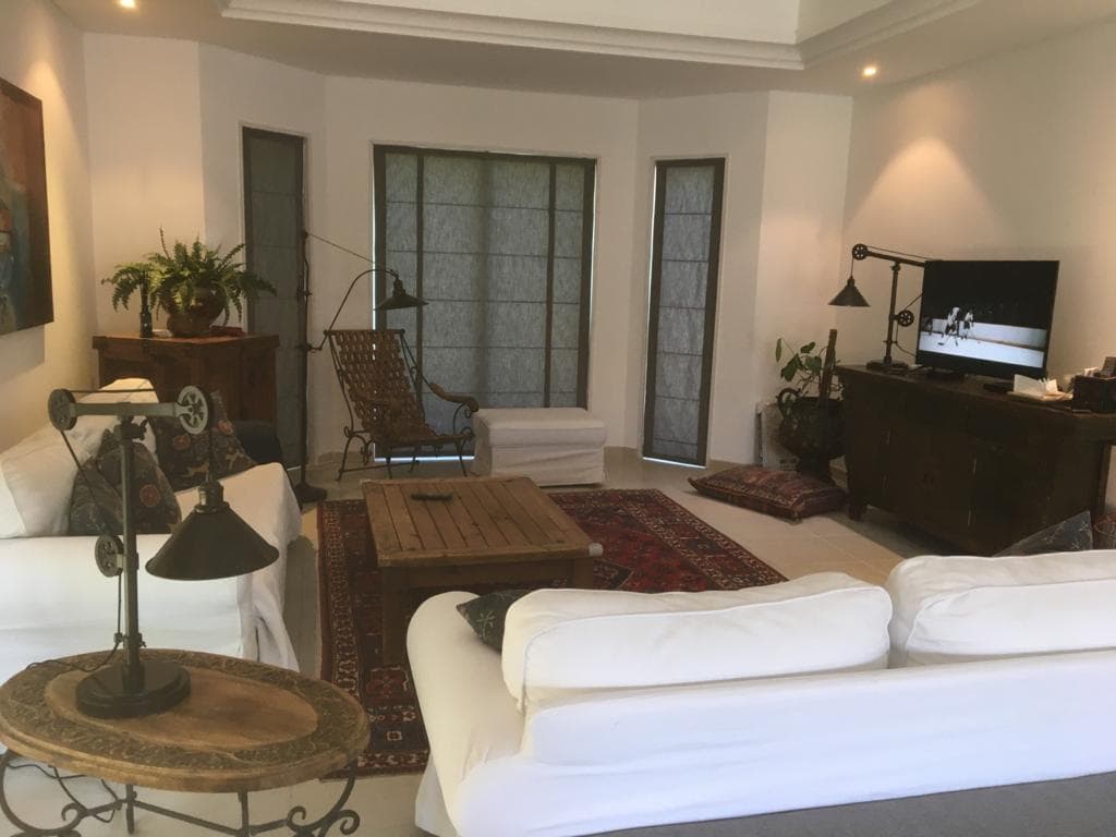 roman blinds for windows