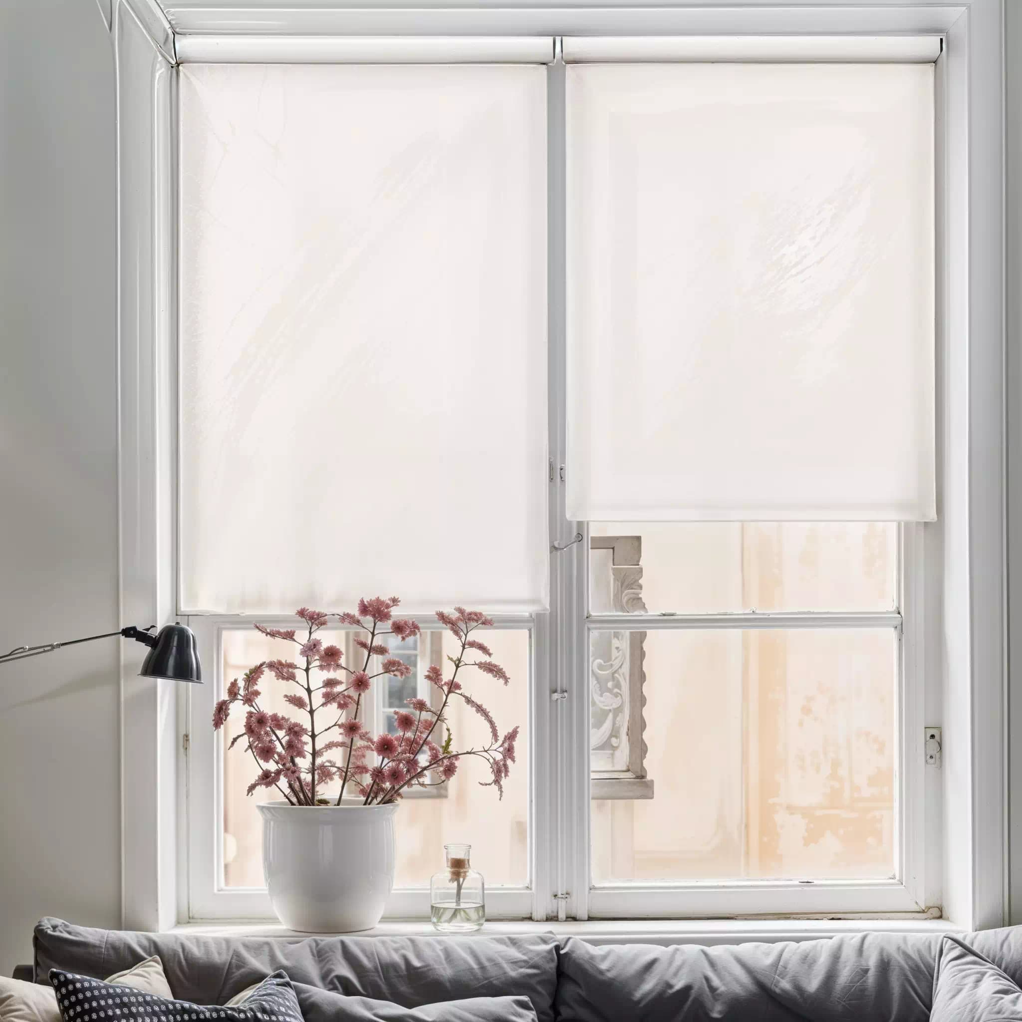 motorised sunscreen roller blinds