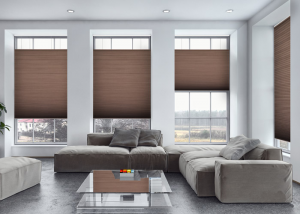 Colby Honeycomb Blinds